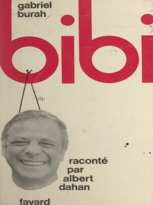 cover image of Bibi